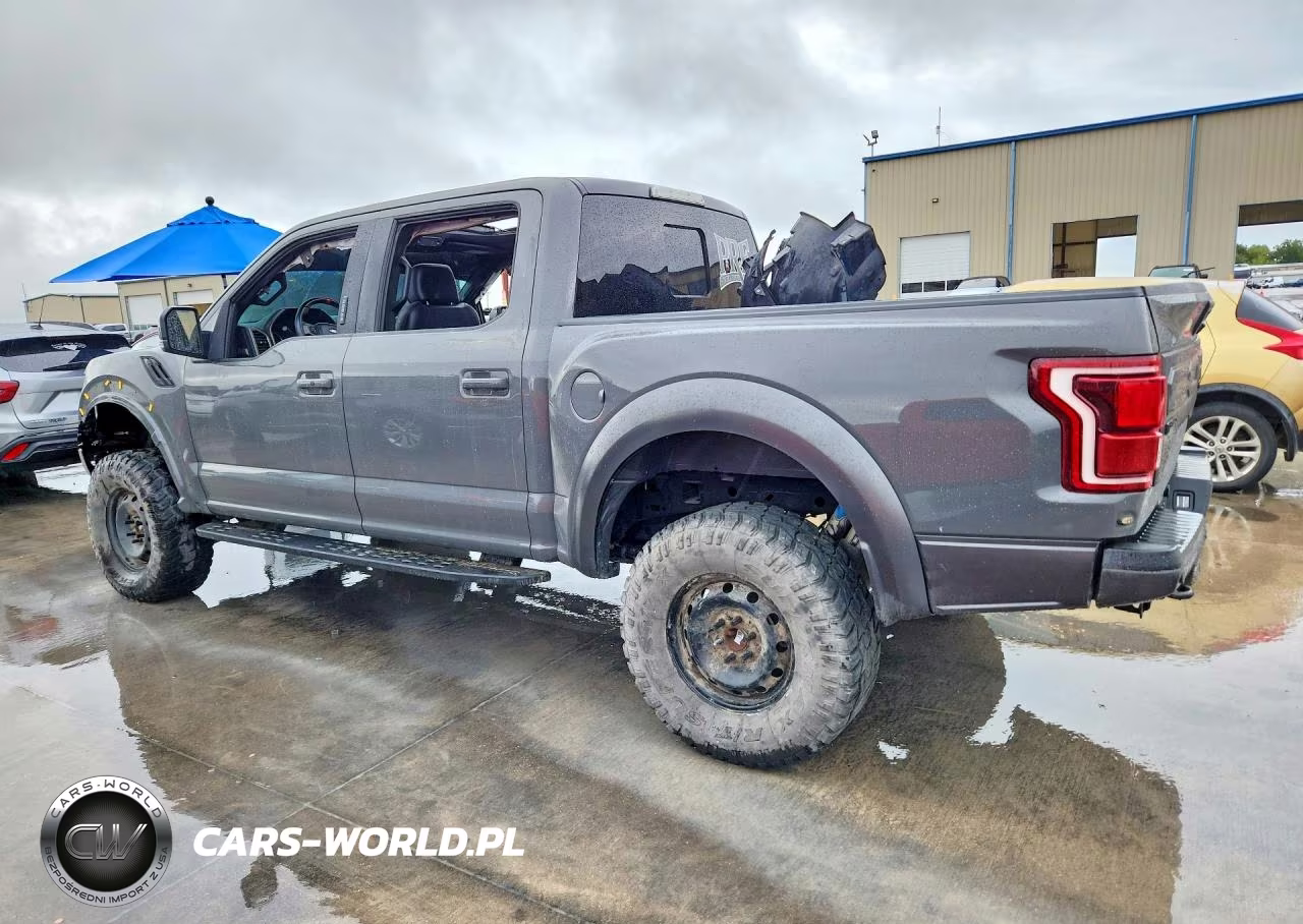 2018 Ford F150 Raptor VIN:1FTFW1RGXJFB81962 - 2
