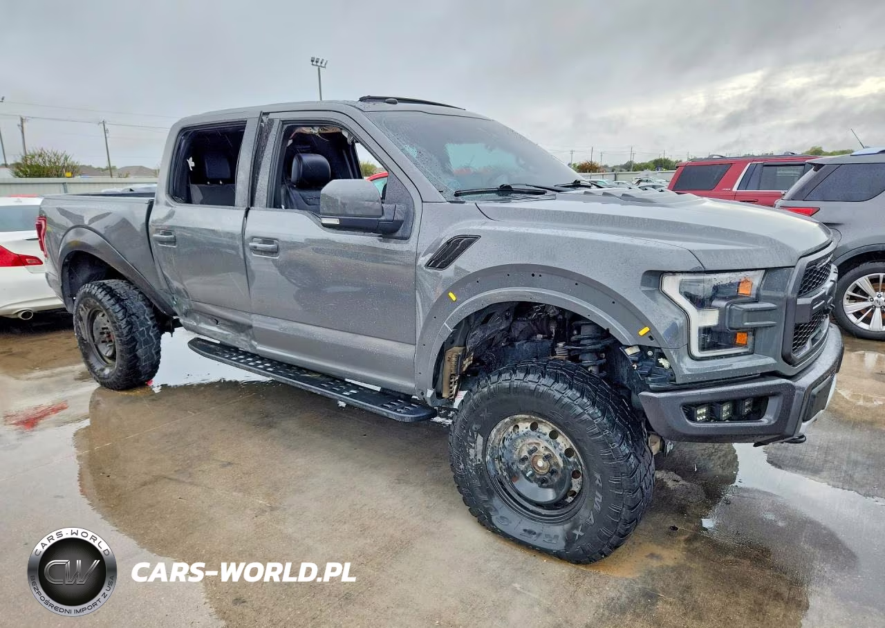 2018 Ford F150 Raptor VIN:1FTFW1RGXJFB81962 - 4