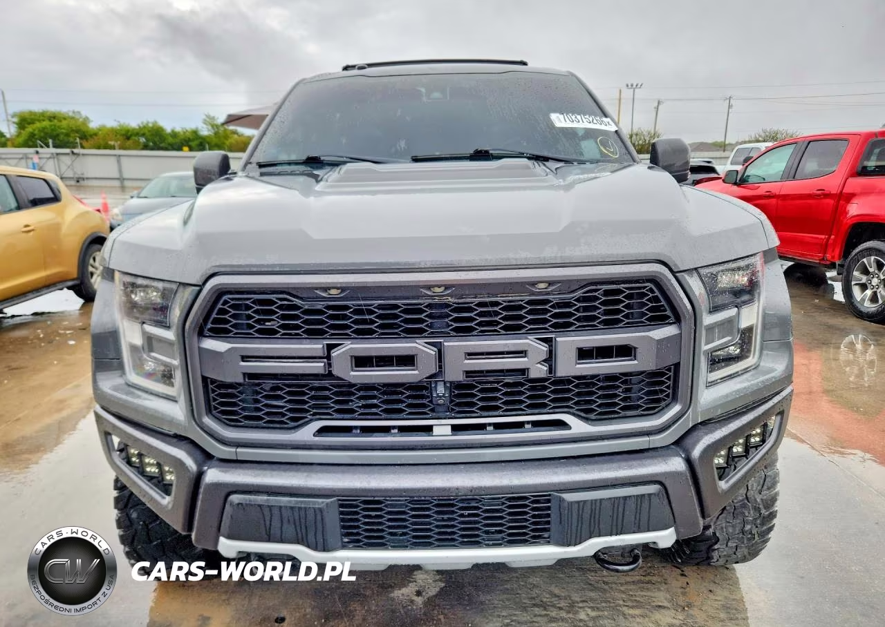 2018 Ford F150 Raptor VIN:1FTFW1RGXJFB81962 - 5