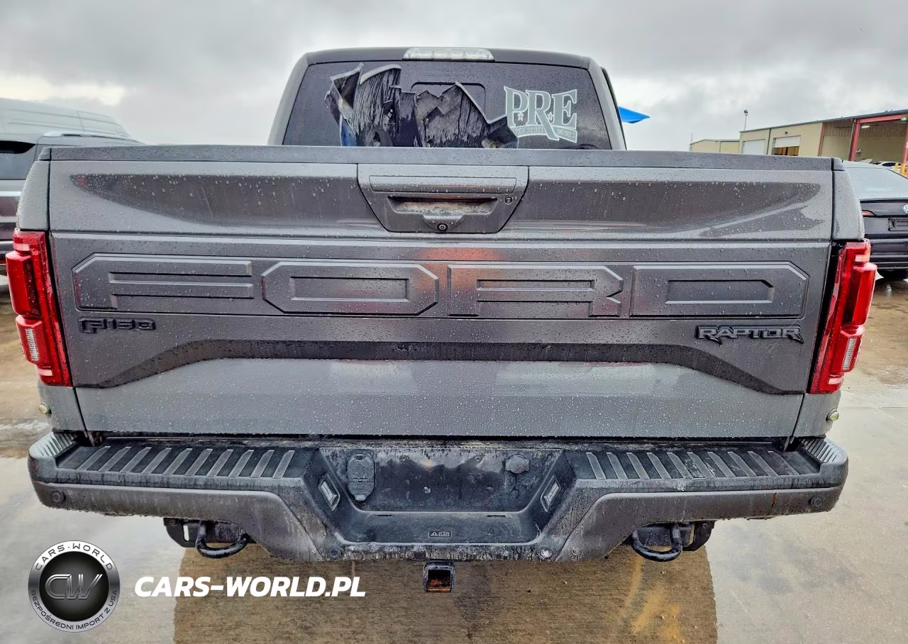 2018 Ford F150 Raptor VIN:1FTFW1RGXJFB81962 - 6