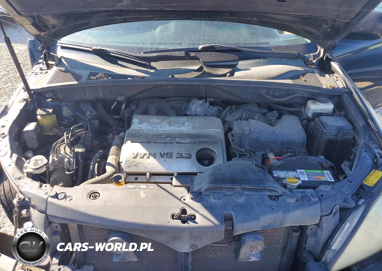 2005 Lexus Rx 330 VIN:2T2HA31U35C065372 - 11