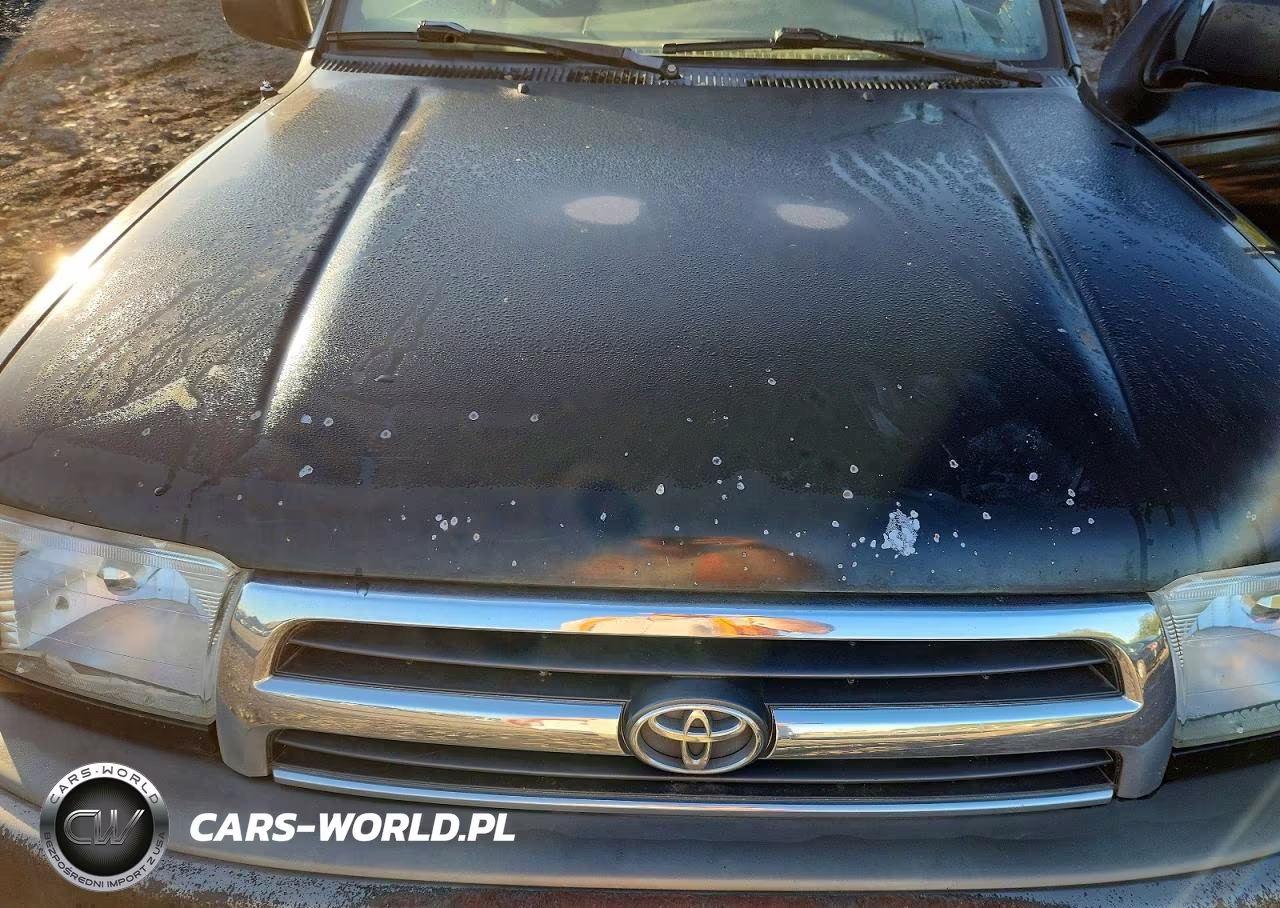 1999 Toyota 4Runner Limited VIN:JT3HN87R1X0207339 - 12