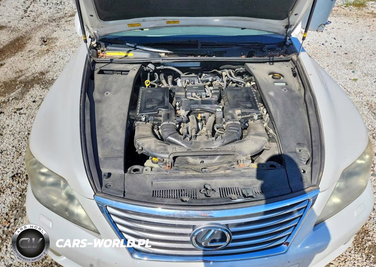 2010 Lexus Ls 460 VIN:JTHCL5EF3A5007977 - 11