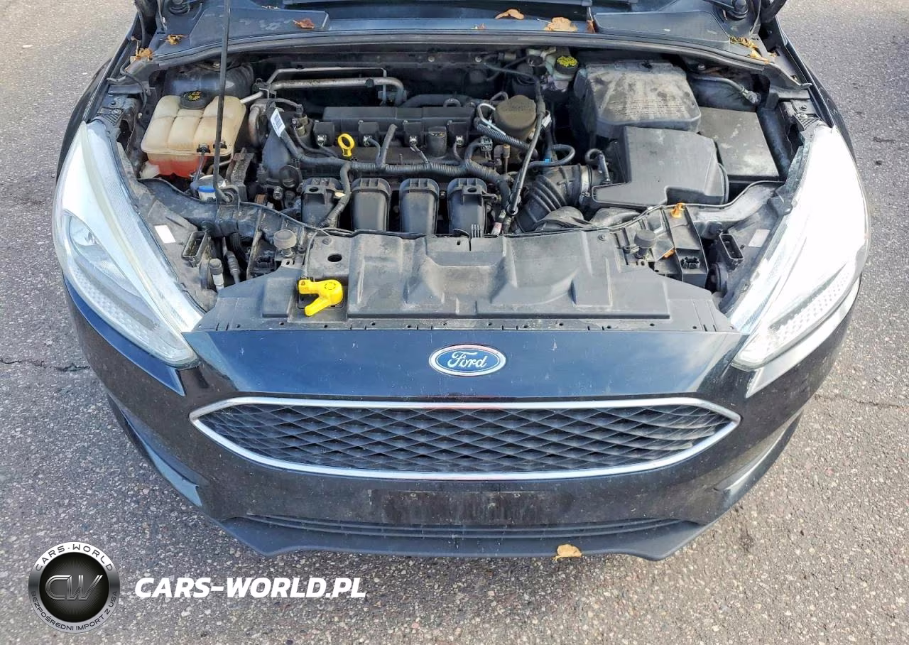 2015 Ford Focus Se VIN:1FADP3F22FL319677 - 11
