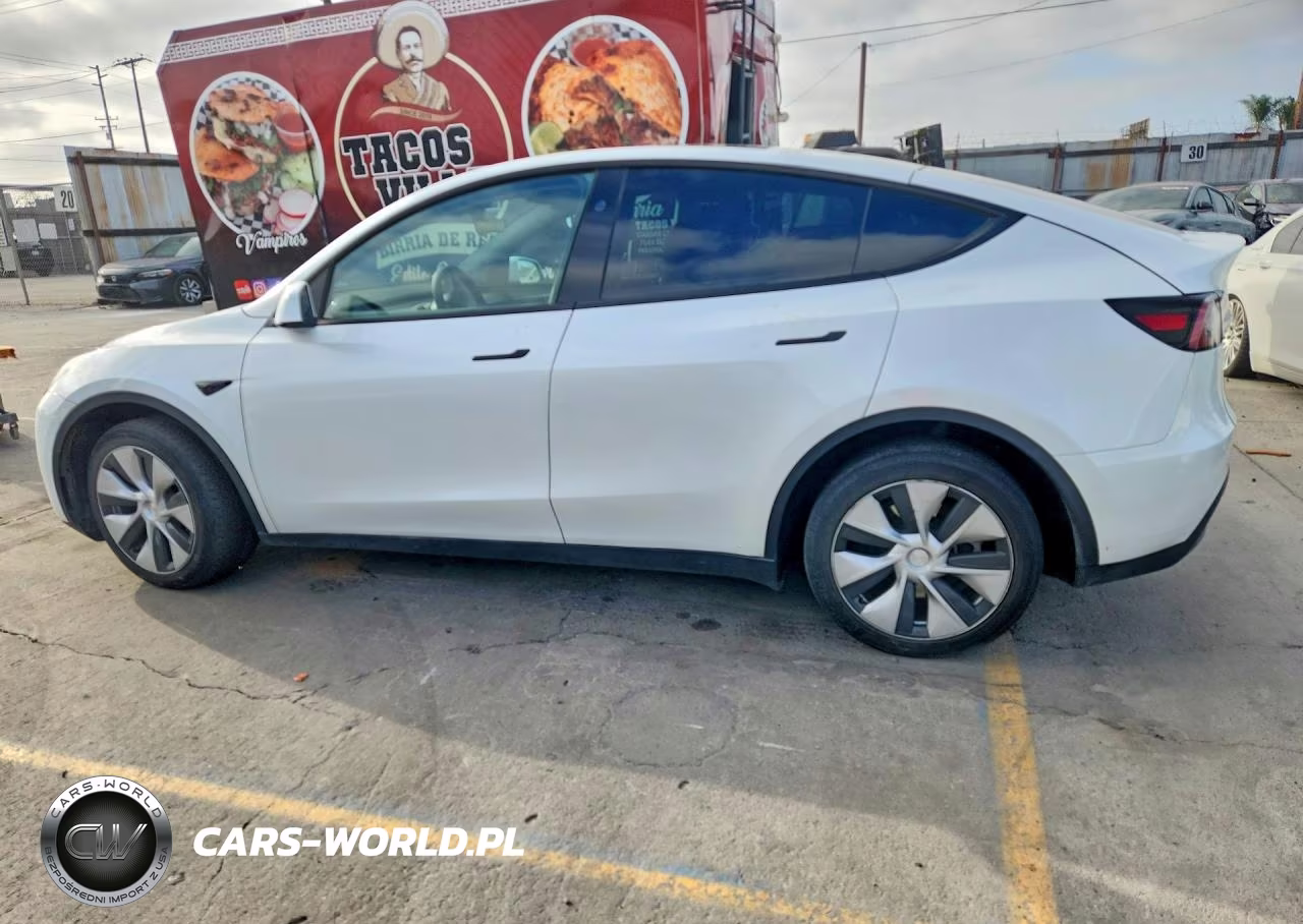 2024 Tesla Model Y VIN:7SAYGDED2RF035707 - 2