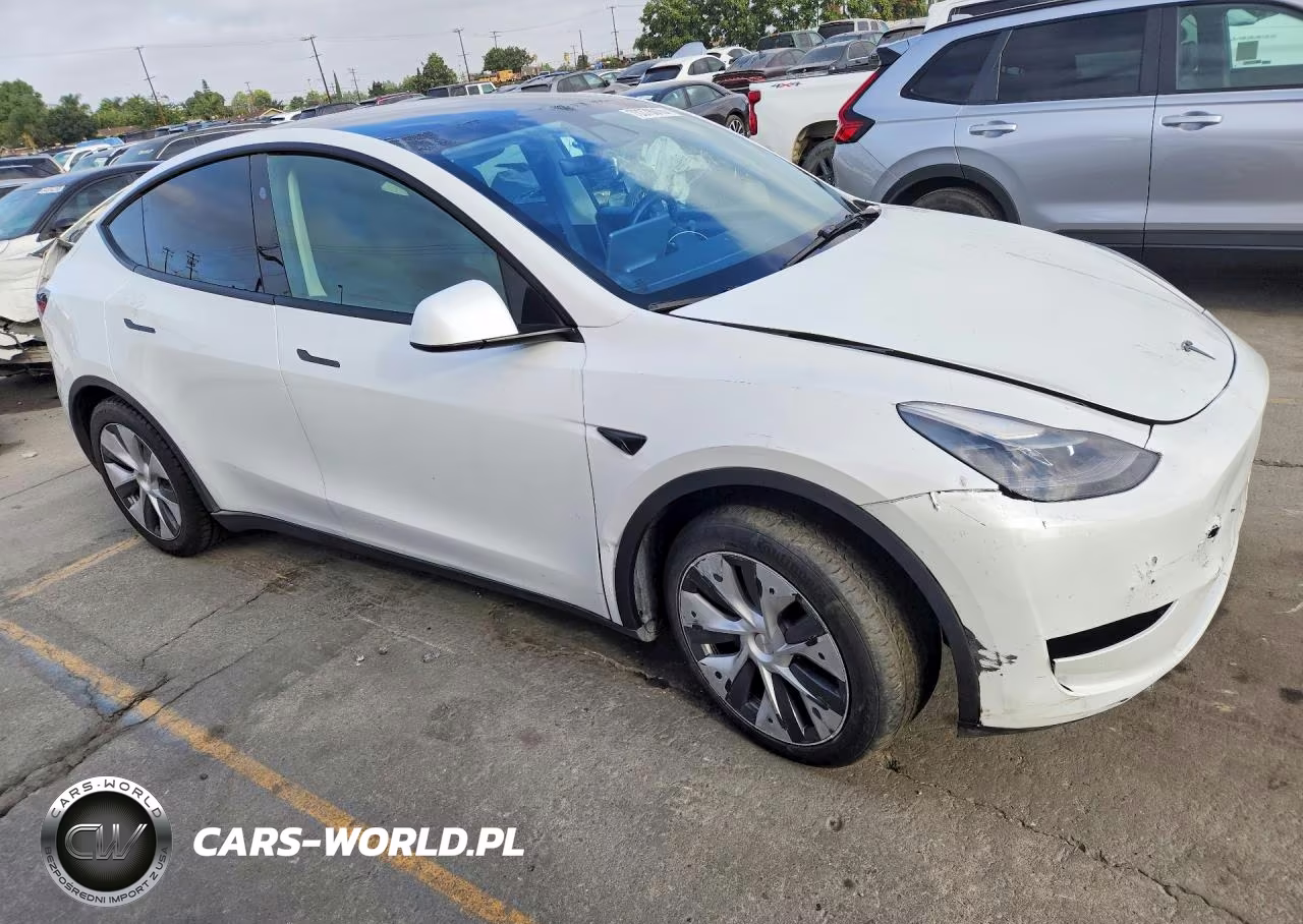 2024 Tesla Model Y VIN:7SAYGDED2RF035707 - 4