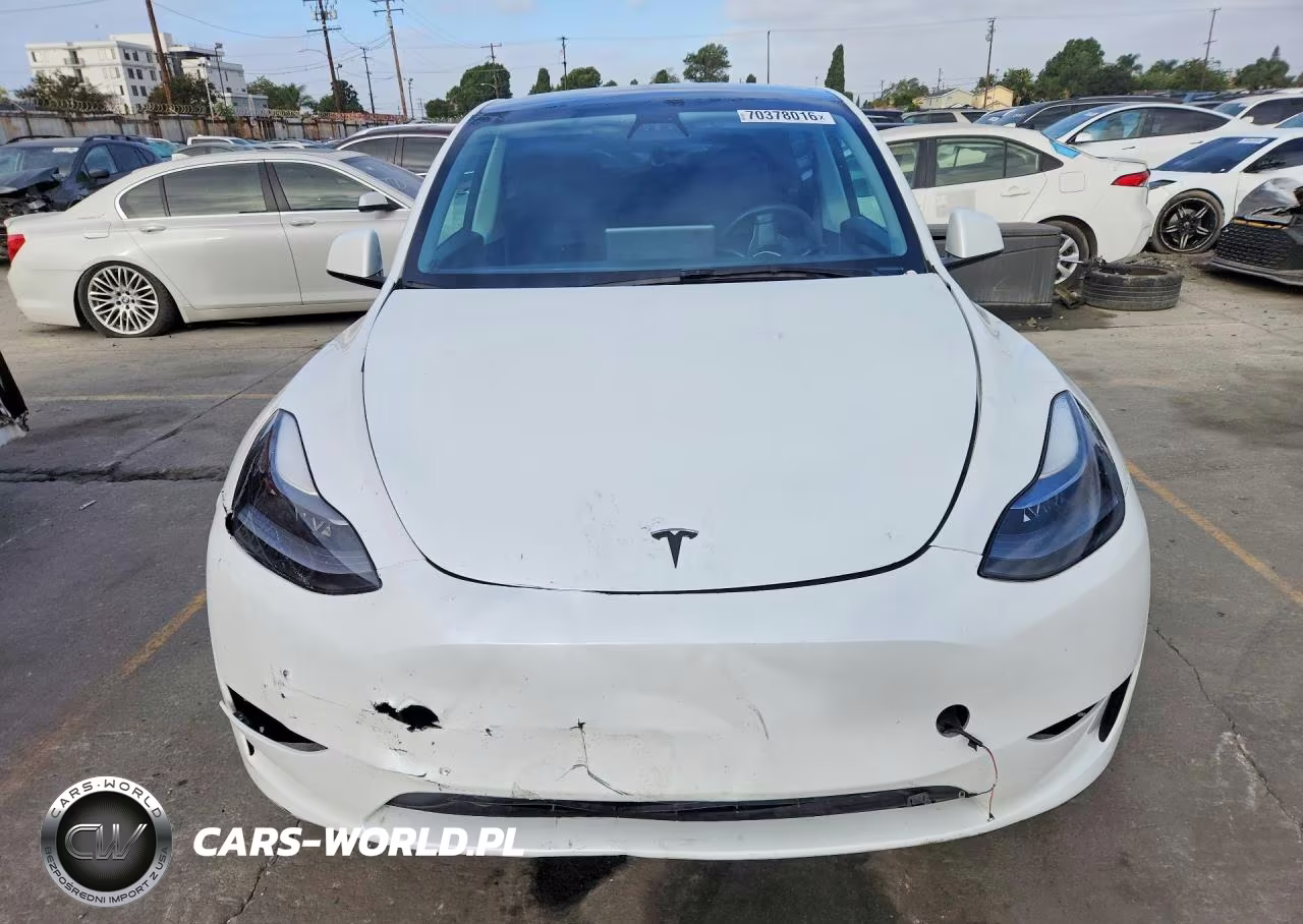 2024 Tesla Model Y VIN:7SAYGDED2RF035707 - 5