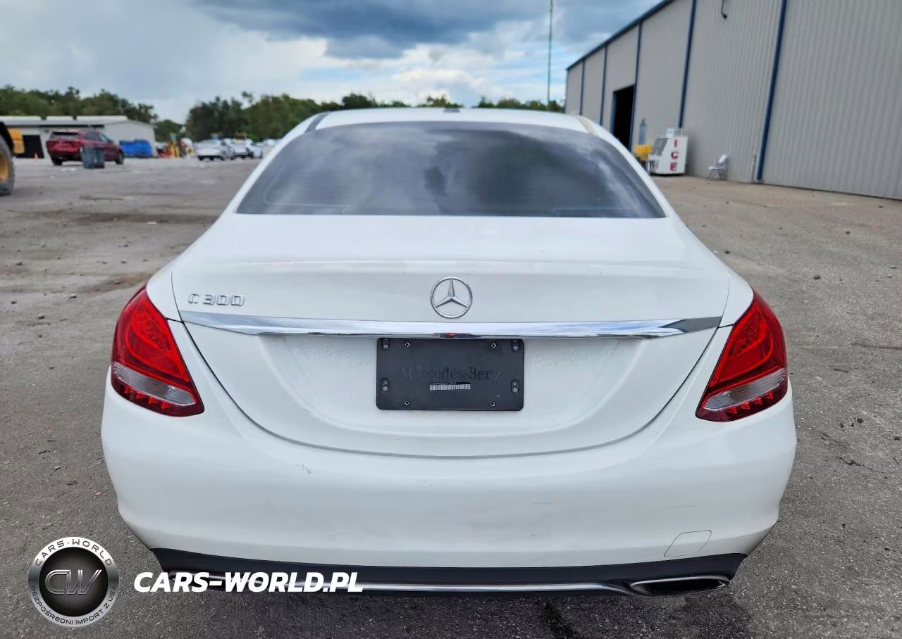 2016 Mercedes-Benz C 300 VIN:55SWF4JB2GU123941 - 6