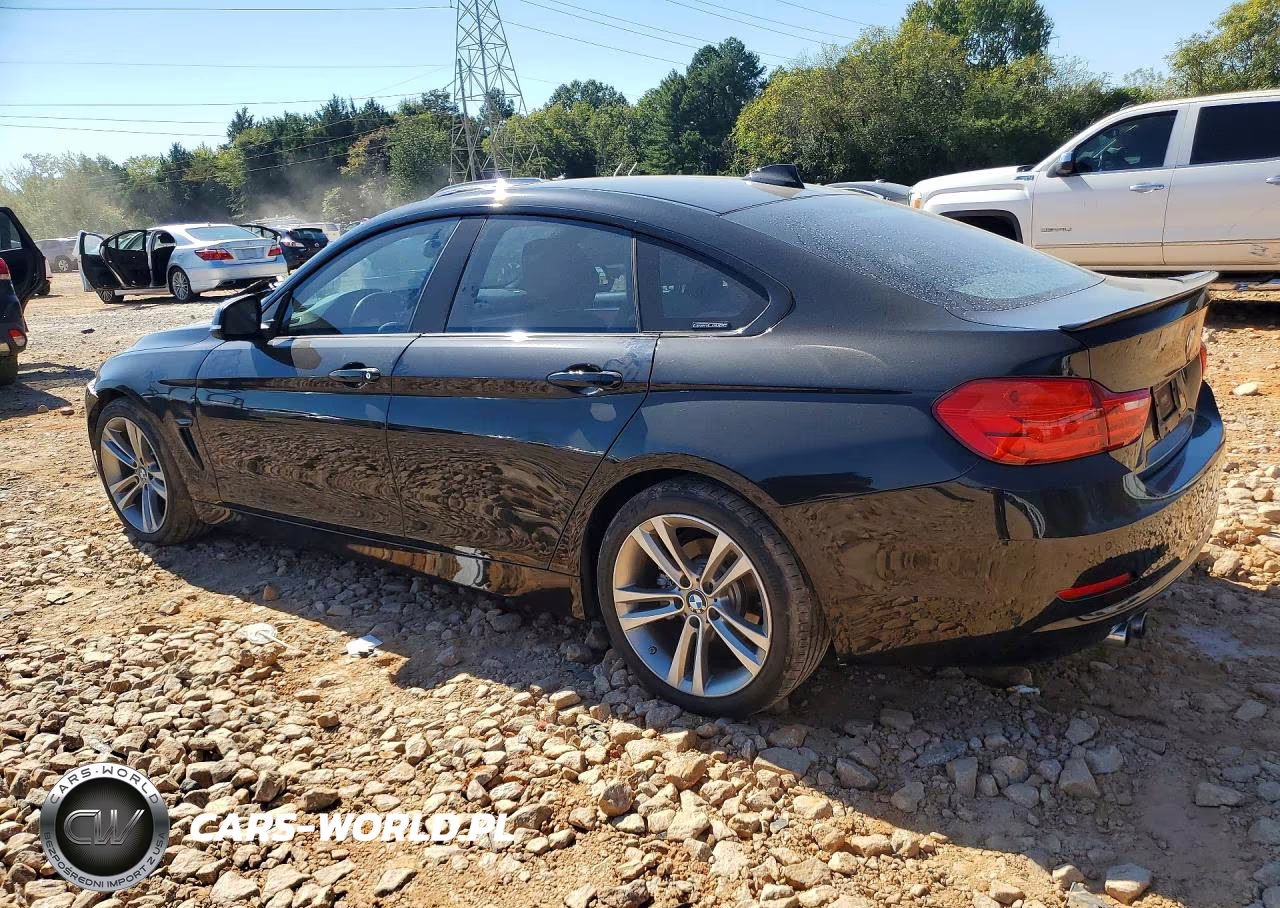 2016 BMW 428 I Gran Coupe Sulev VIN:WBA4A9C56GGL88781 - 2