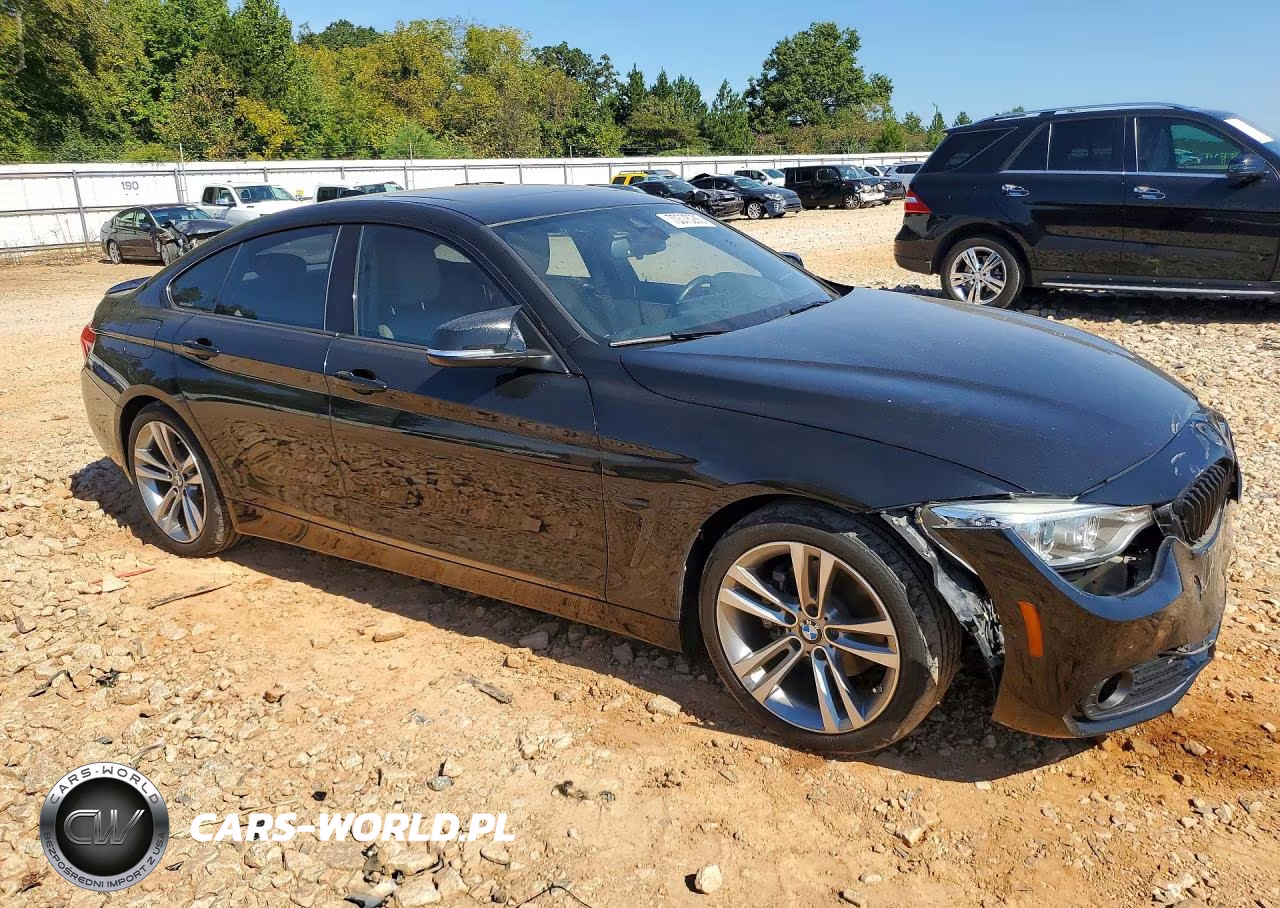 2016 BMW 428 I Gran Coupe Sulev VIN:WBA4A9C56GGL88781 - 4