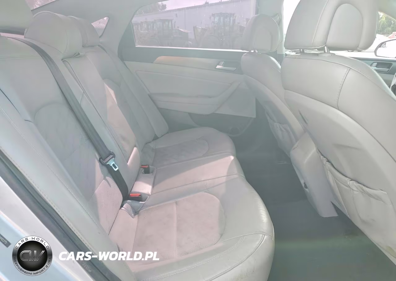 2017 Hyundai Sonata Sport VIN:5NPE34AF7HH442375 - 10