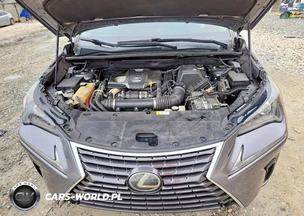 2018 Lexus Nx 300 Base VIN:JTJYARBZ1J2098703 - 12