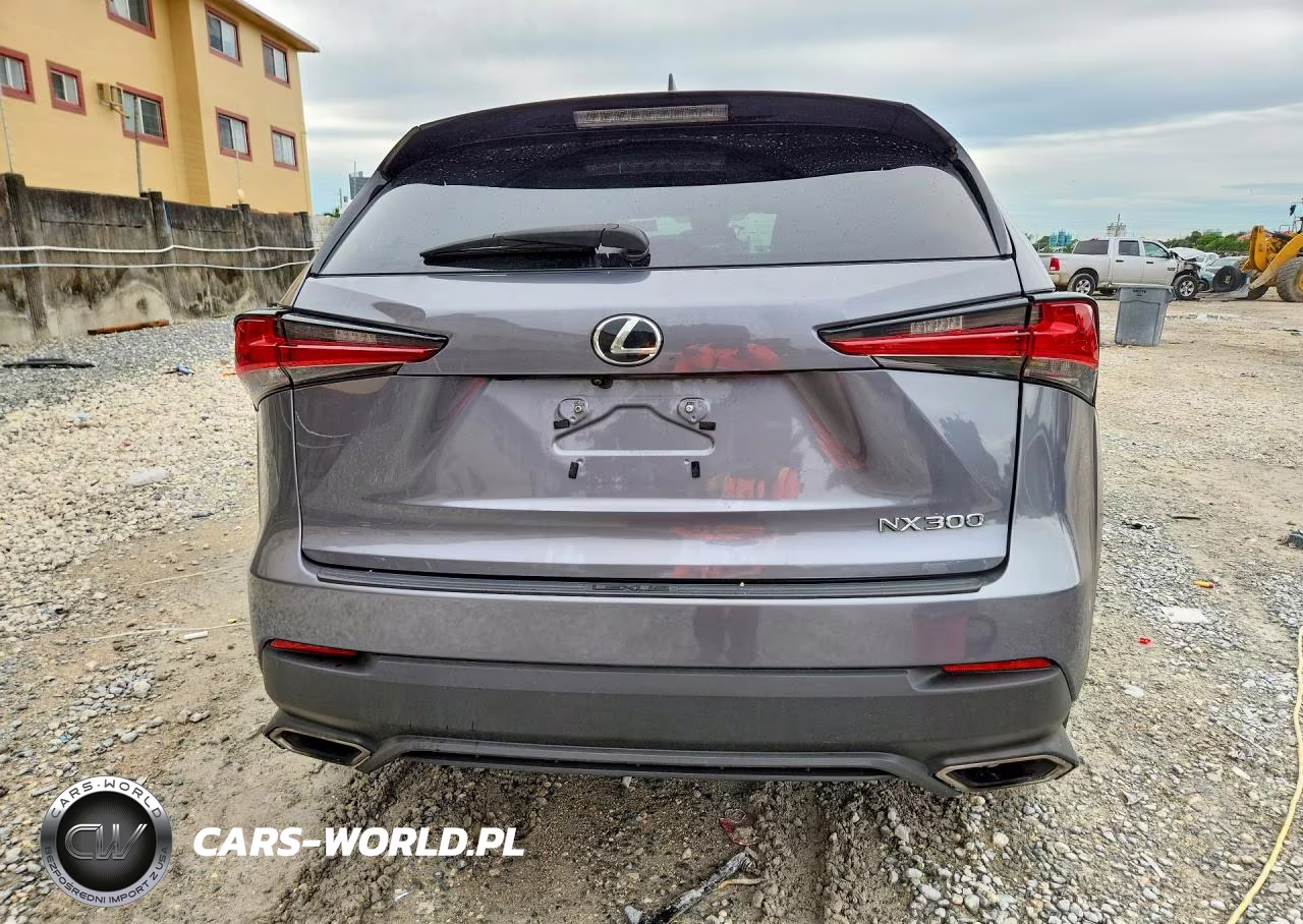 2018 Lexus Nx 300 Base VIN:JTJYARBZ1J2098703 - 6