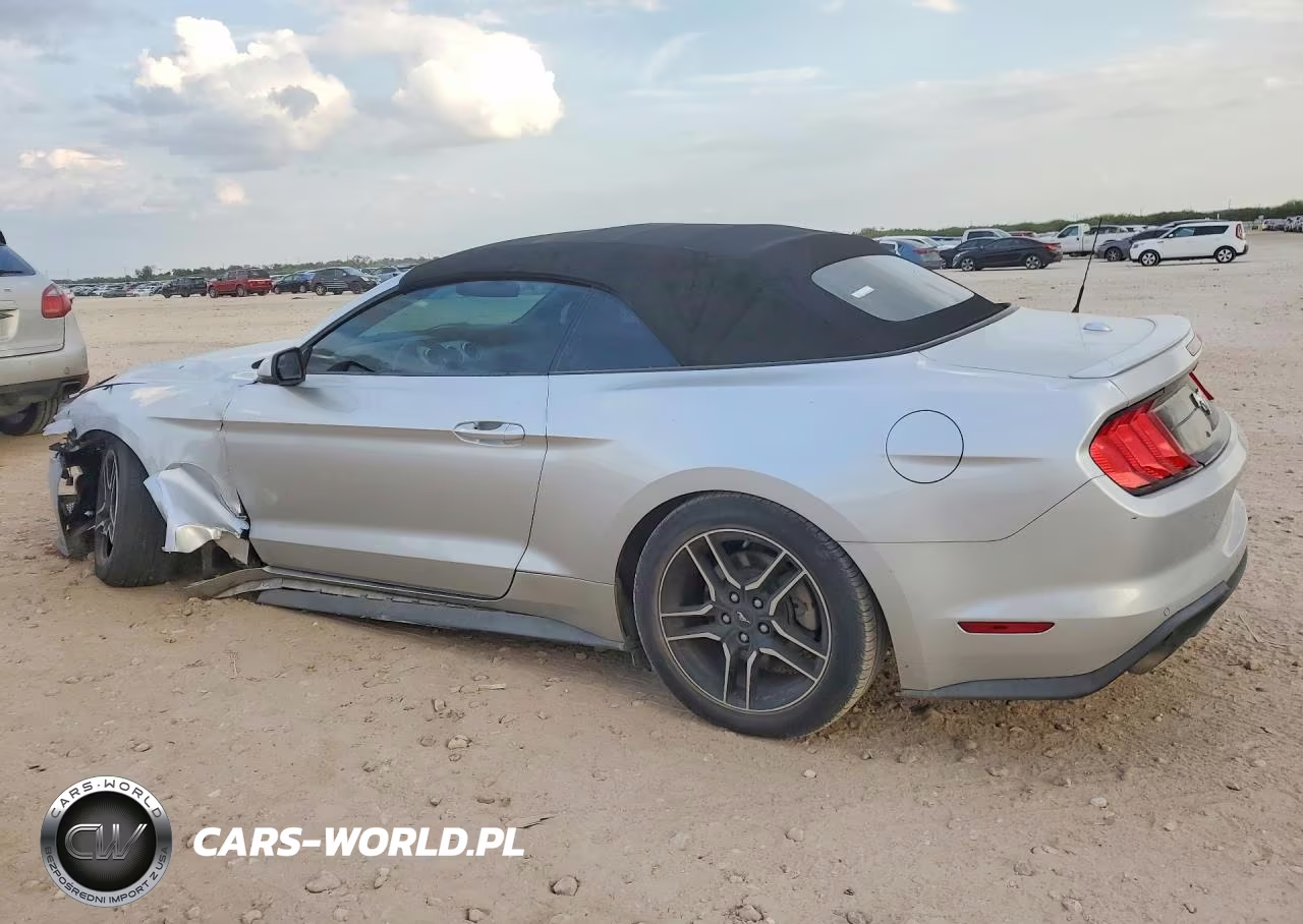 2019 Ford Mustang VIN:1FATP8UH2K5149447 - 2