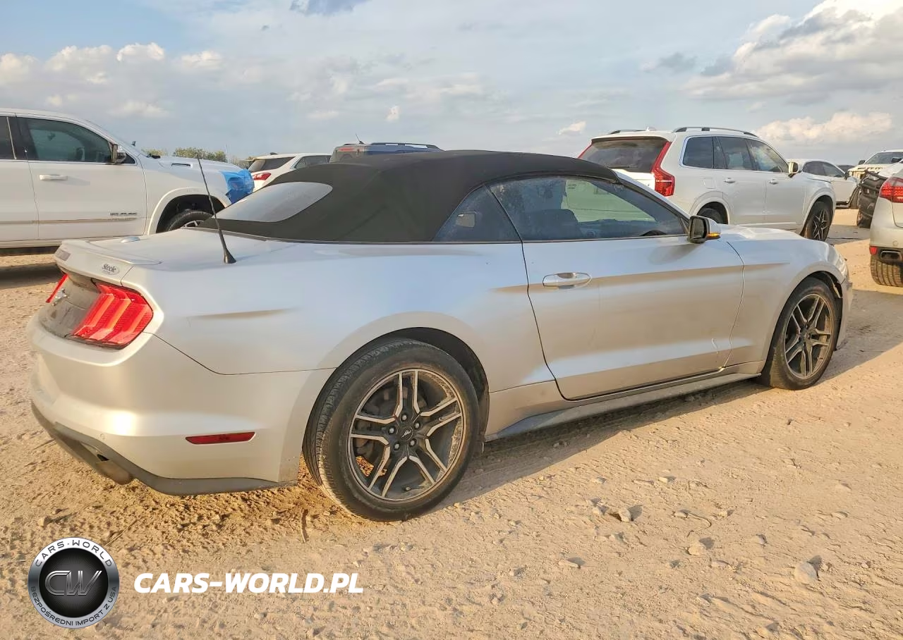2019 Ford Mustang VIN:1FATP8UH2K5149447 - 3