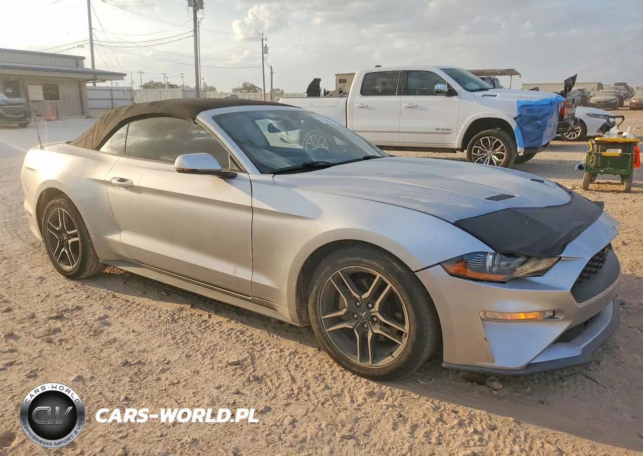 2019 Ford Mustang VIN:1FATP8UH2K5149447 - 4