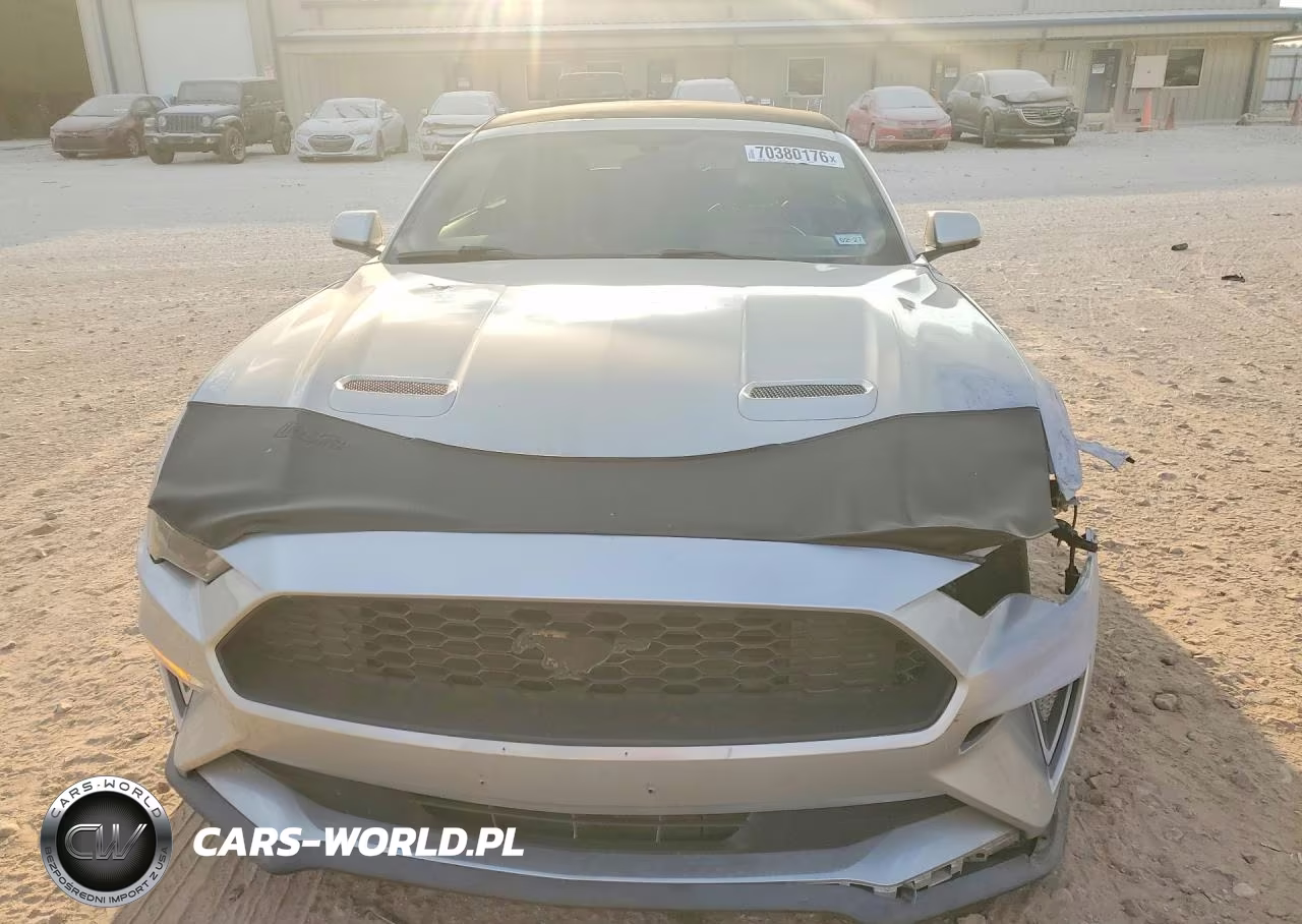 2019 Ford Mustang VIN:1FATP8UH2K5149447 - 5