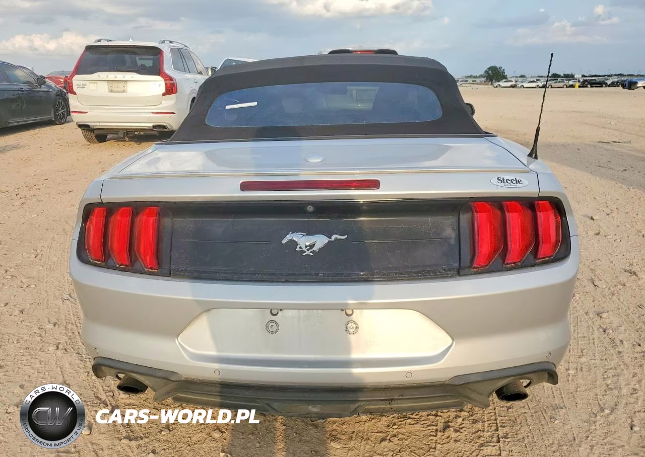 2019 Ford Mustang VIN:1FATP8UH2K5149447 - 6