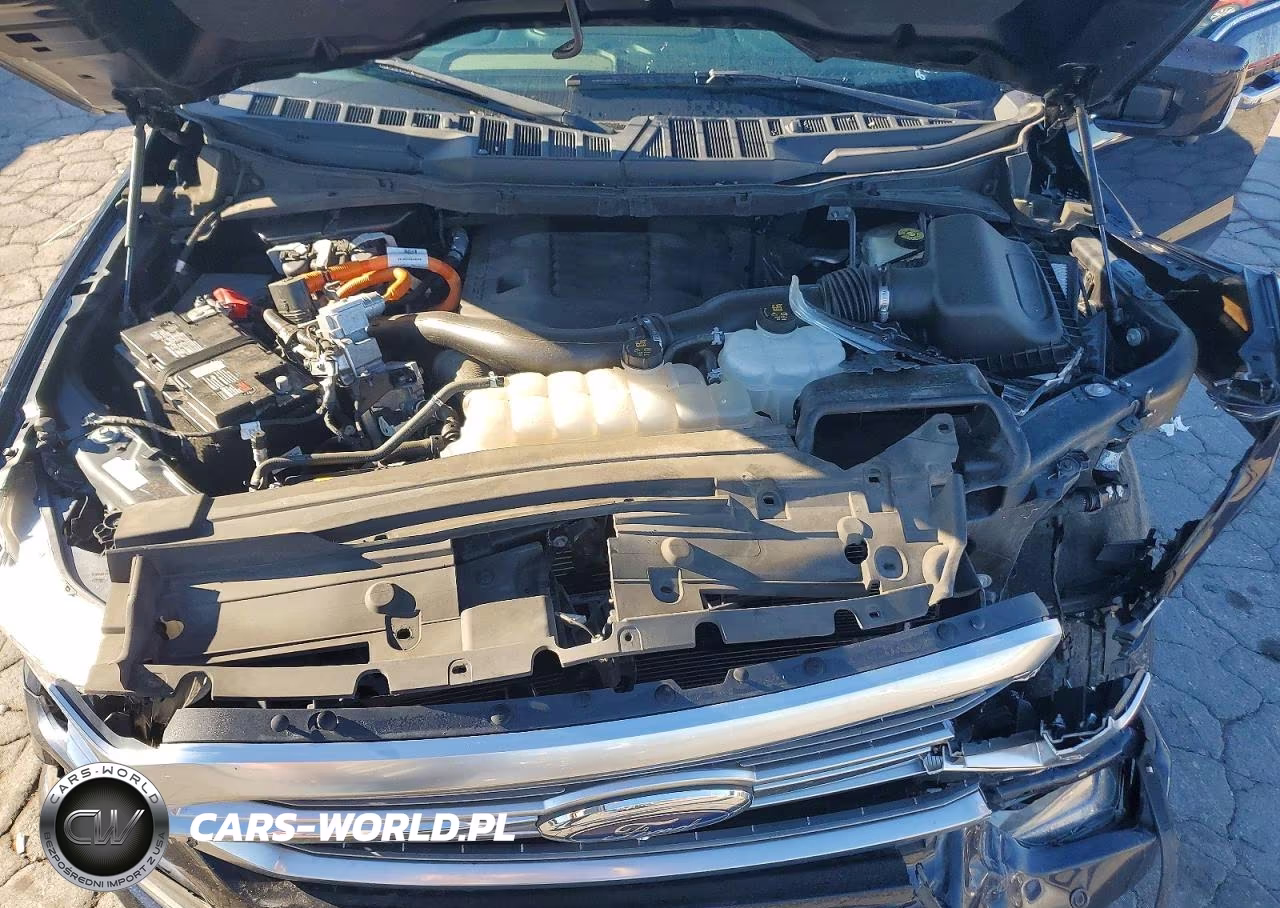 2023 Ford F150 Supercrew VIN:1FTFW1ED7PFB95189 - 11