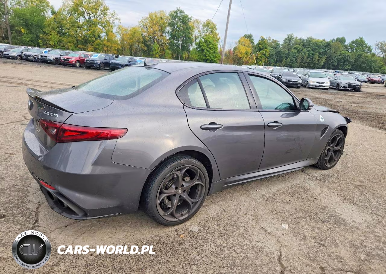 2018 Alfa Romeo Giulia Quadrifoglio VIN:ZARFAEAV9J7584069 - 3