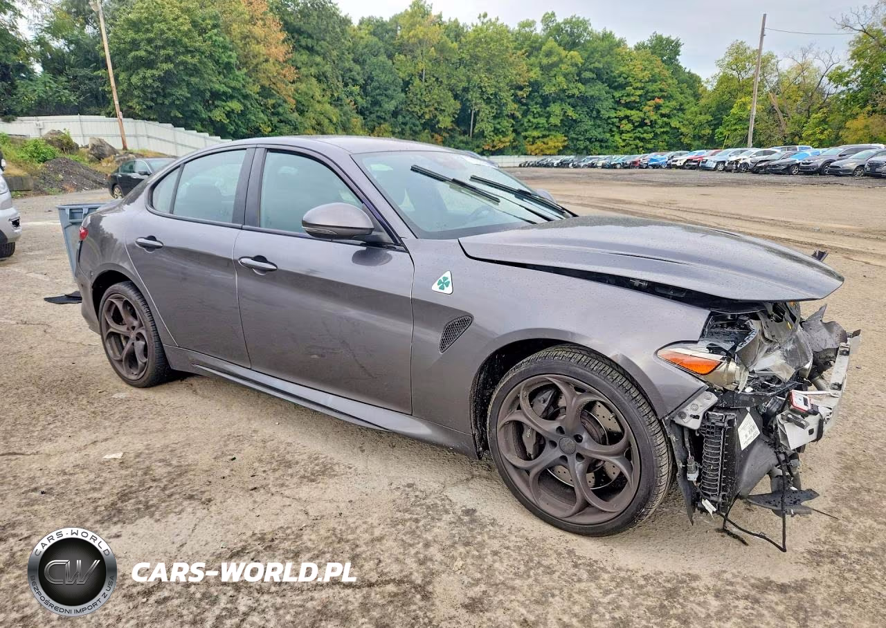 2018 Alfa Romeo Giulia Quadrifoglio VIN:ZARFAEAV9J7584069 - 4