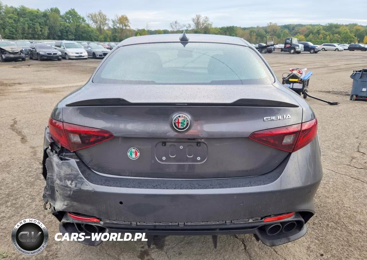 2018 Alfa Romeo Giulia Quadrifoglio VIN:ZARFAEAV9J7584069 - 6