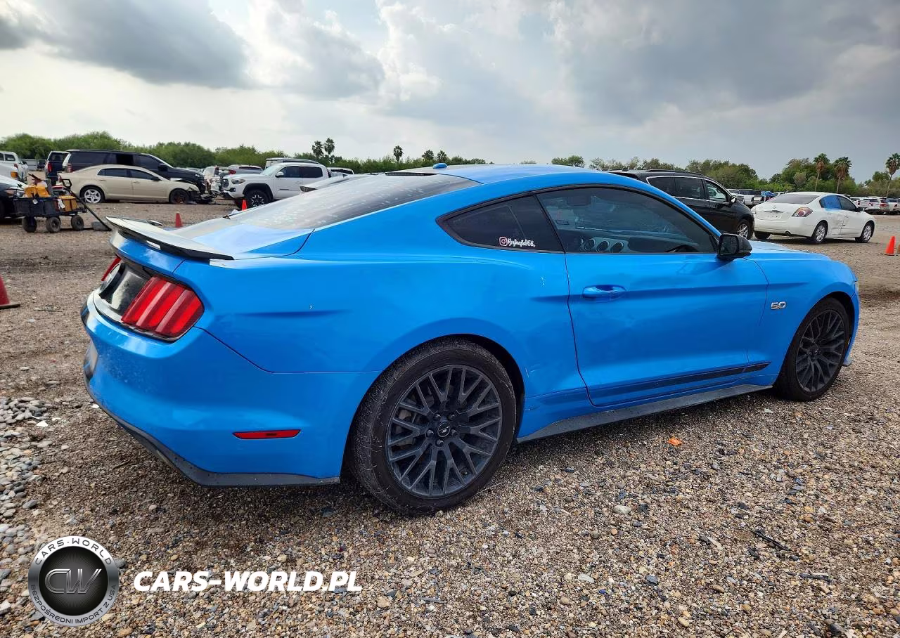 2017 Ford Mustang Gt VIN:1FA6P8CF2H5209751 - 3
