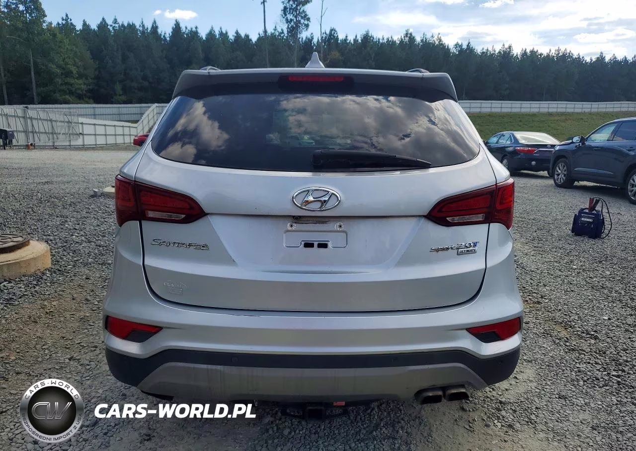 2018 Hyundai Santa Fe Sport 2.0T Ultimate VIN:5XYZW4LA6JG506333 - 6