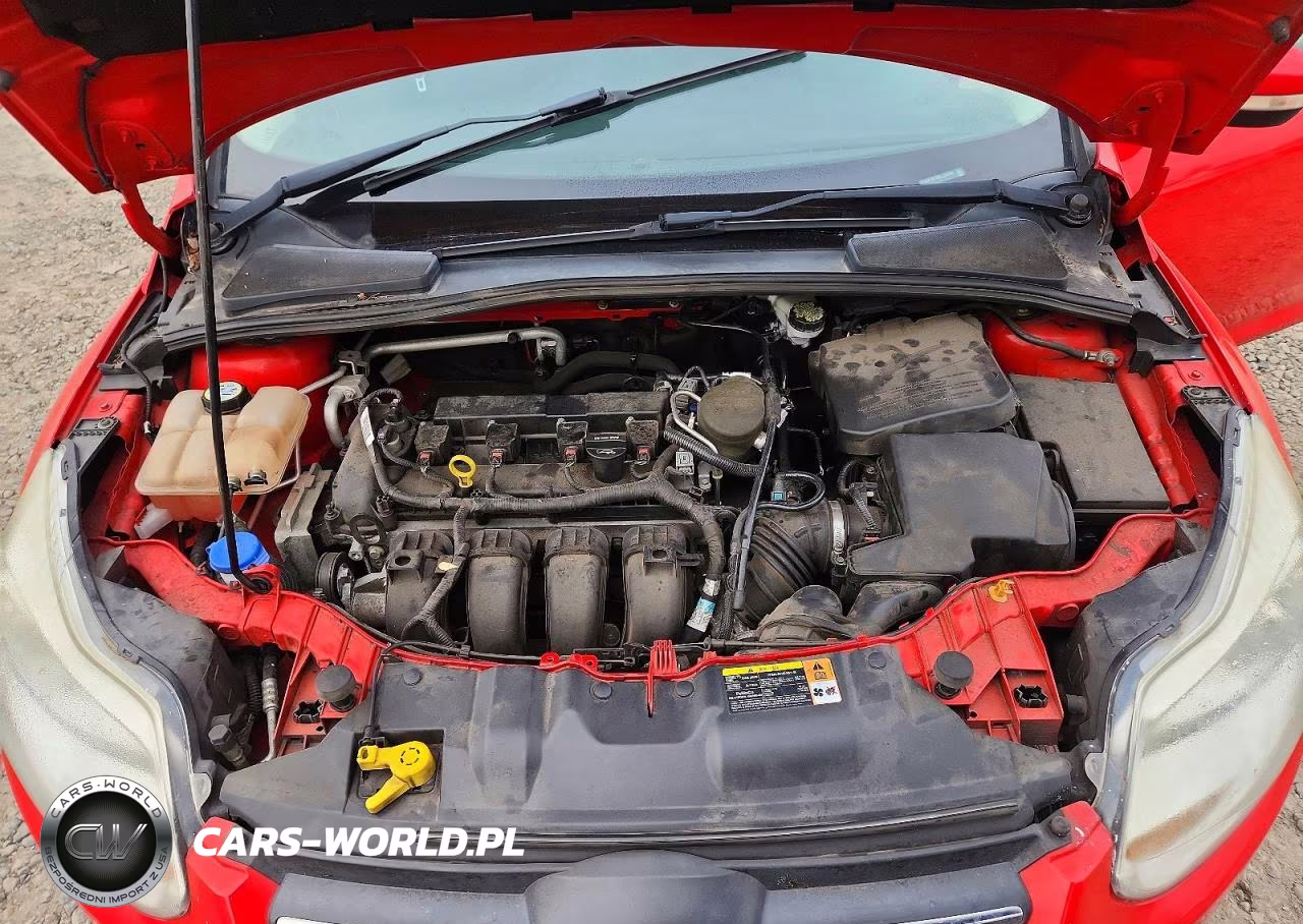 2013 Ford Focus Se VIN:1FADP3F20DL325202 - 11