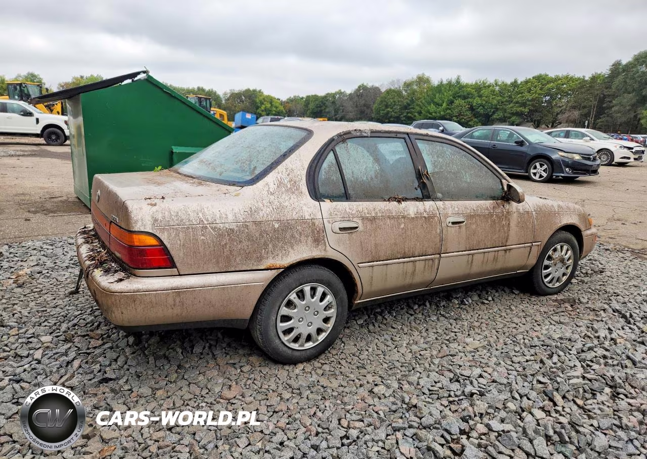 1994 Toyota Corolla Le VIN:1NXAE00B3RZ222248 - 3