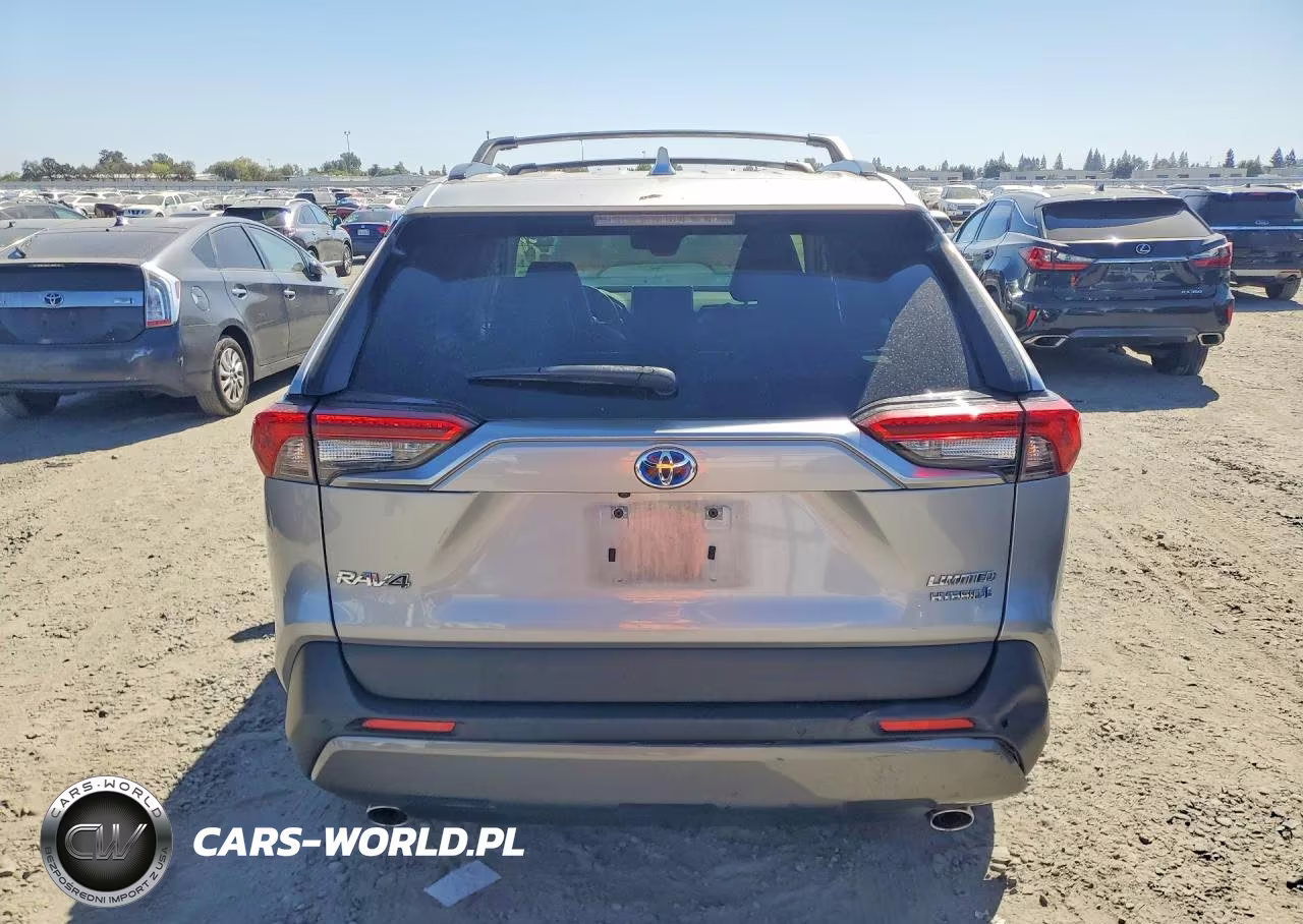 2019 Toyota Rav4 Limited VIN:JTMDWRFV8KD004137 - 6