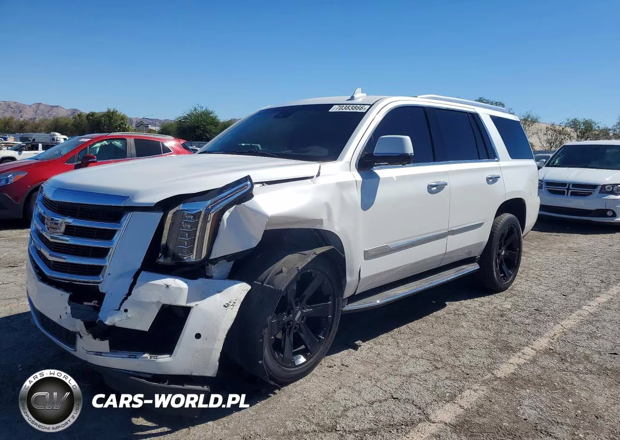 2020 Cadillac Escalade Luxury VIN:1GYS3BKJ2LR133967 - 1