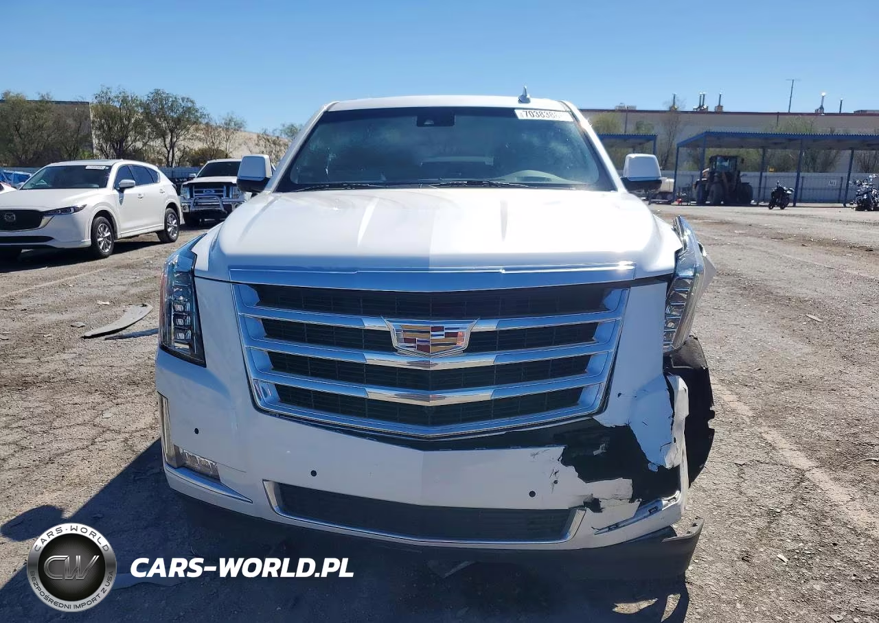 2020 Cadillac Escalade Luxury VIN:1GYS3BKJ2LR133967 - 5