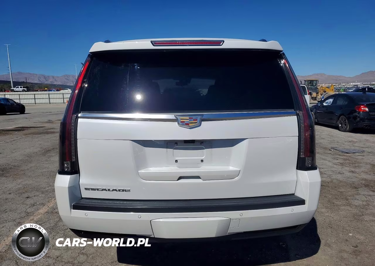 2020 Cadillac Escalade Luxury VIN:1GYS3BKJ2LR133967 - 6