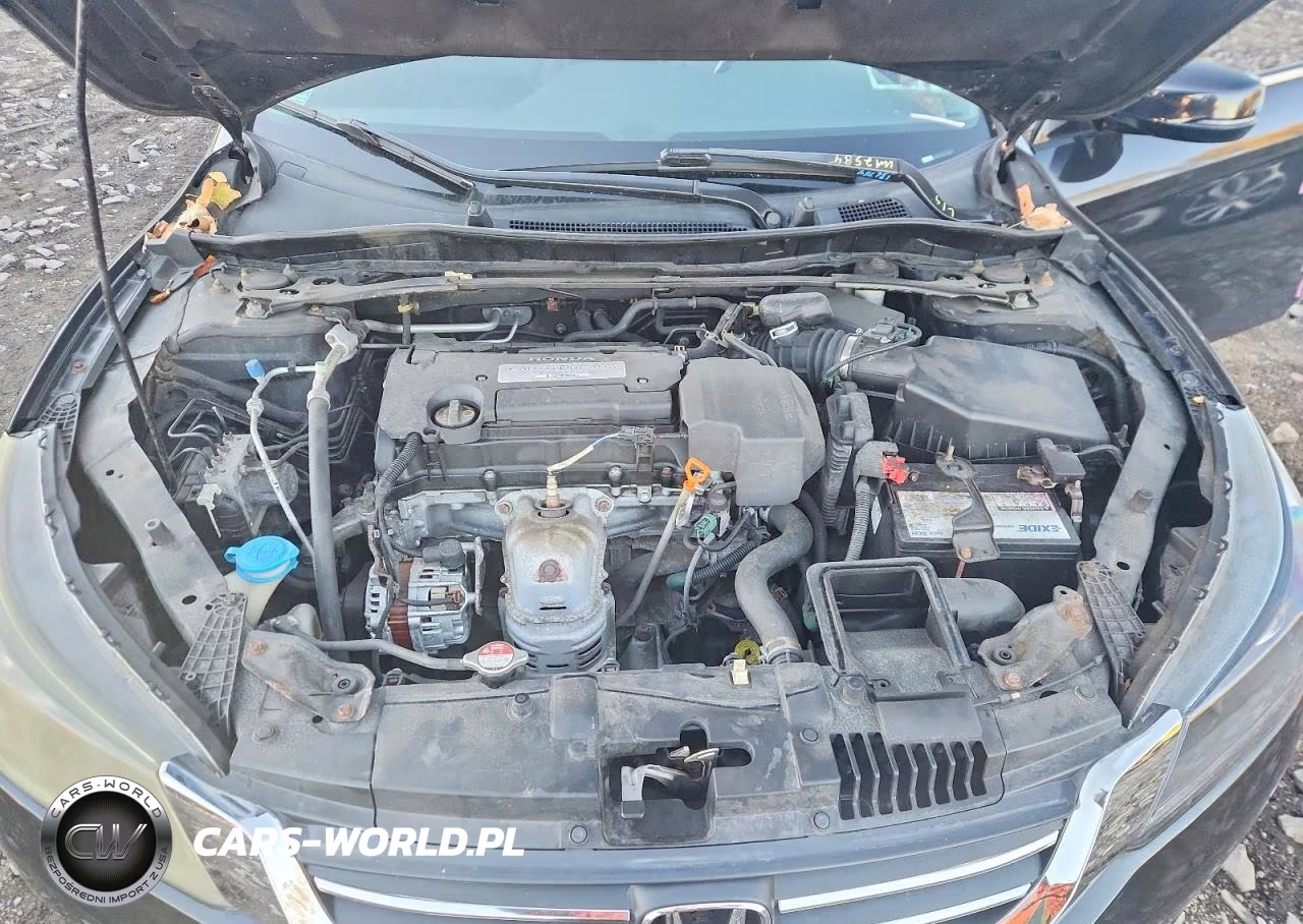 2013 Honda Accord Exl VIN:1HGCR2F82DA114367 - 11