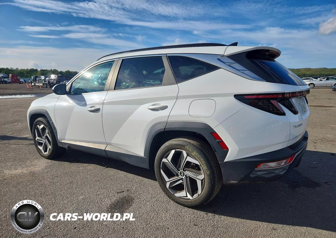 2022 Hyundai Tucson Sel VIN:5NMJCCAE1NH060786 - 2
