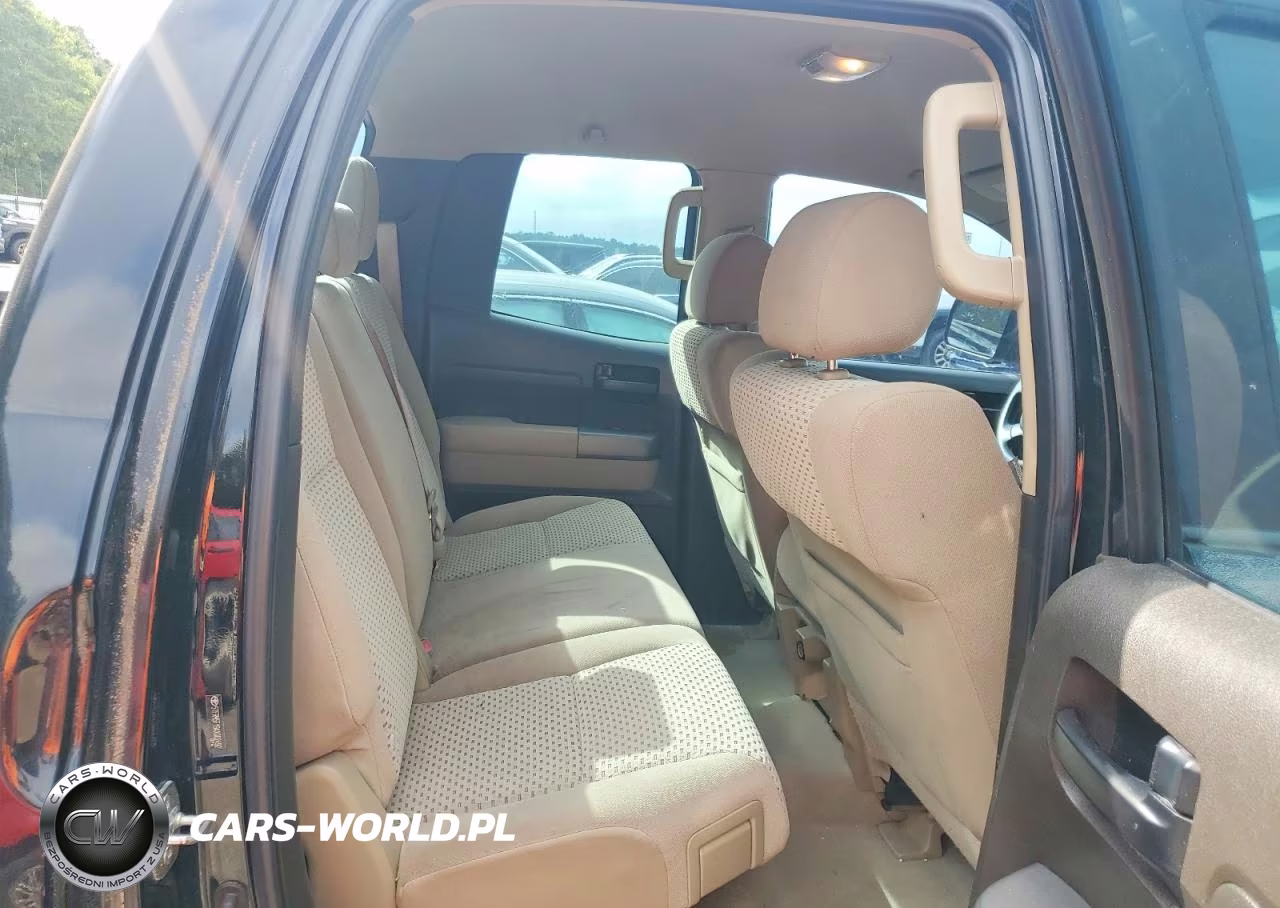 2010 Toyota Tundra Double Cab Sr5 VIN:5TFRM5F19AX002492 - 10
