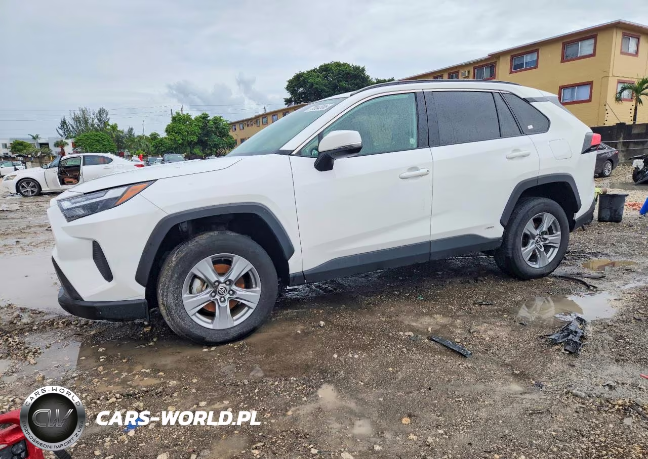2025 Toyota Rav4 Hybrid Xle