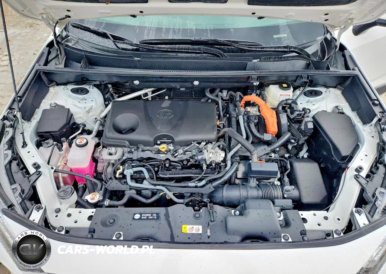 2025 Toyota Rav4 Hybrid Xle VIN:4T3RWRFVXSU176873 - 12