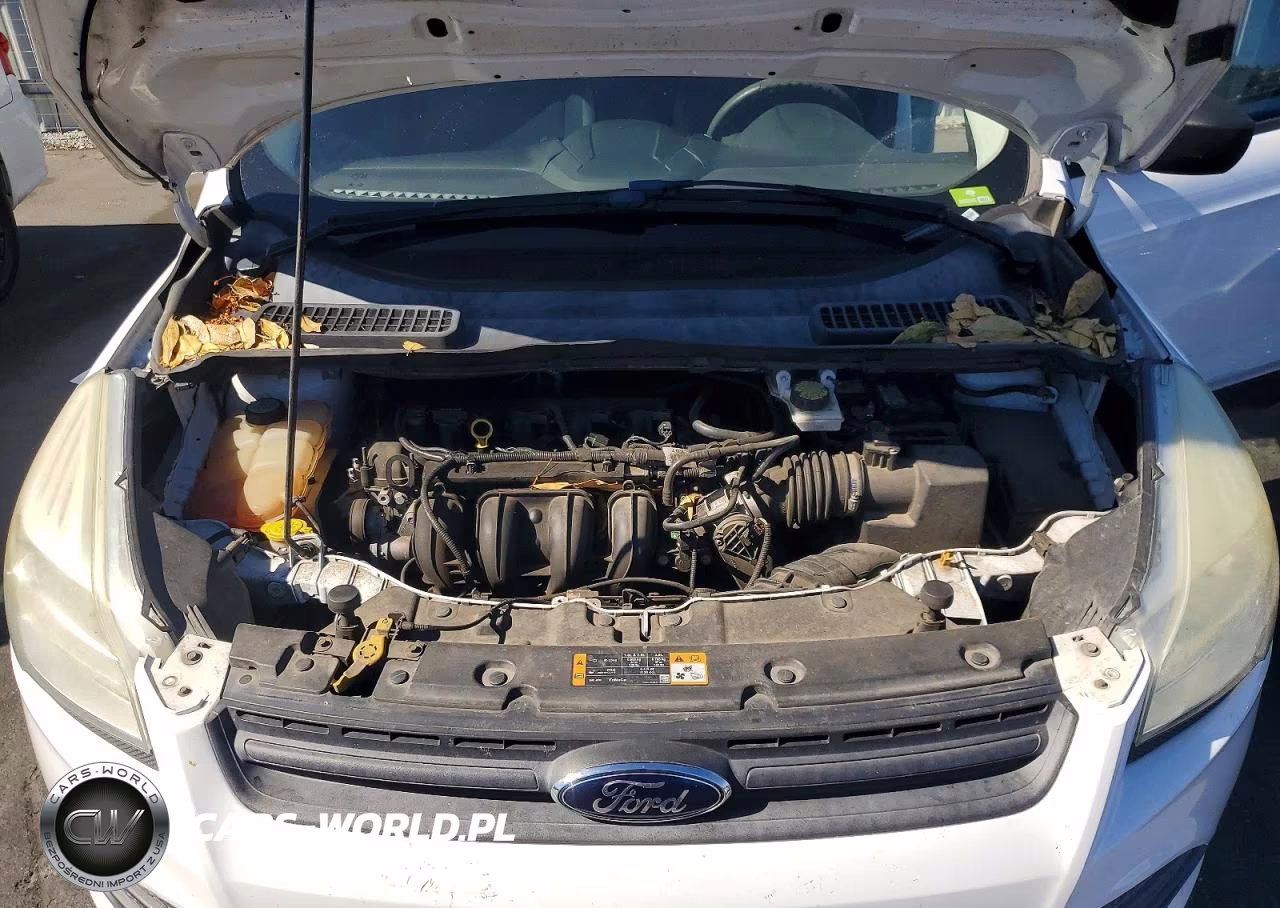 2013 Ford Escape S VIN:1FMCU0F76DUC16080 - 12