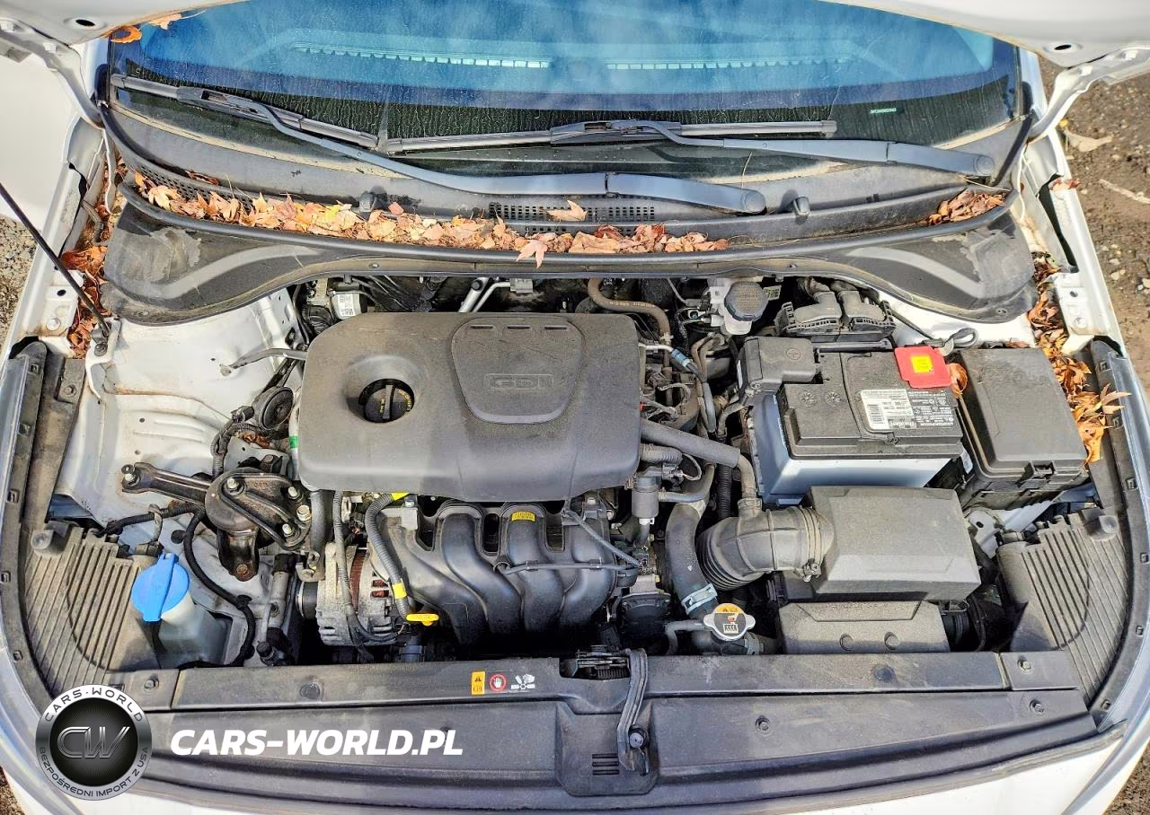2019 Hyundai Accent Se VIN:3KPC24A33KE076412 - 11