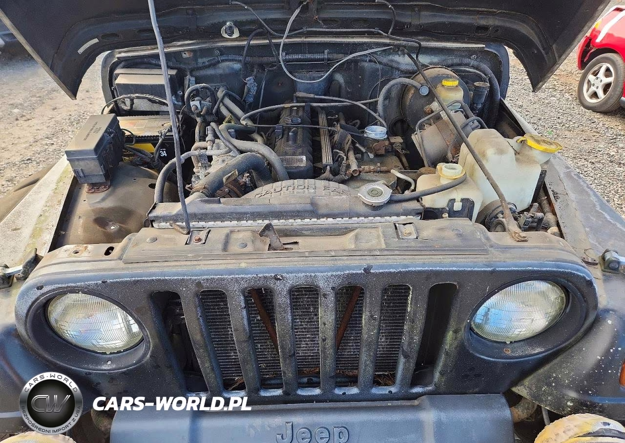1997 Jeep Wrangler - Tj Sahara VIN:1J4FY49S6VP494565 - 11