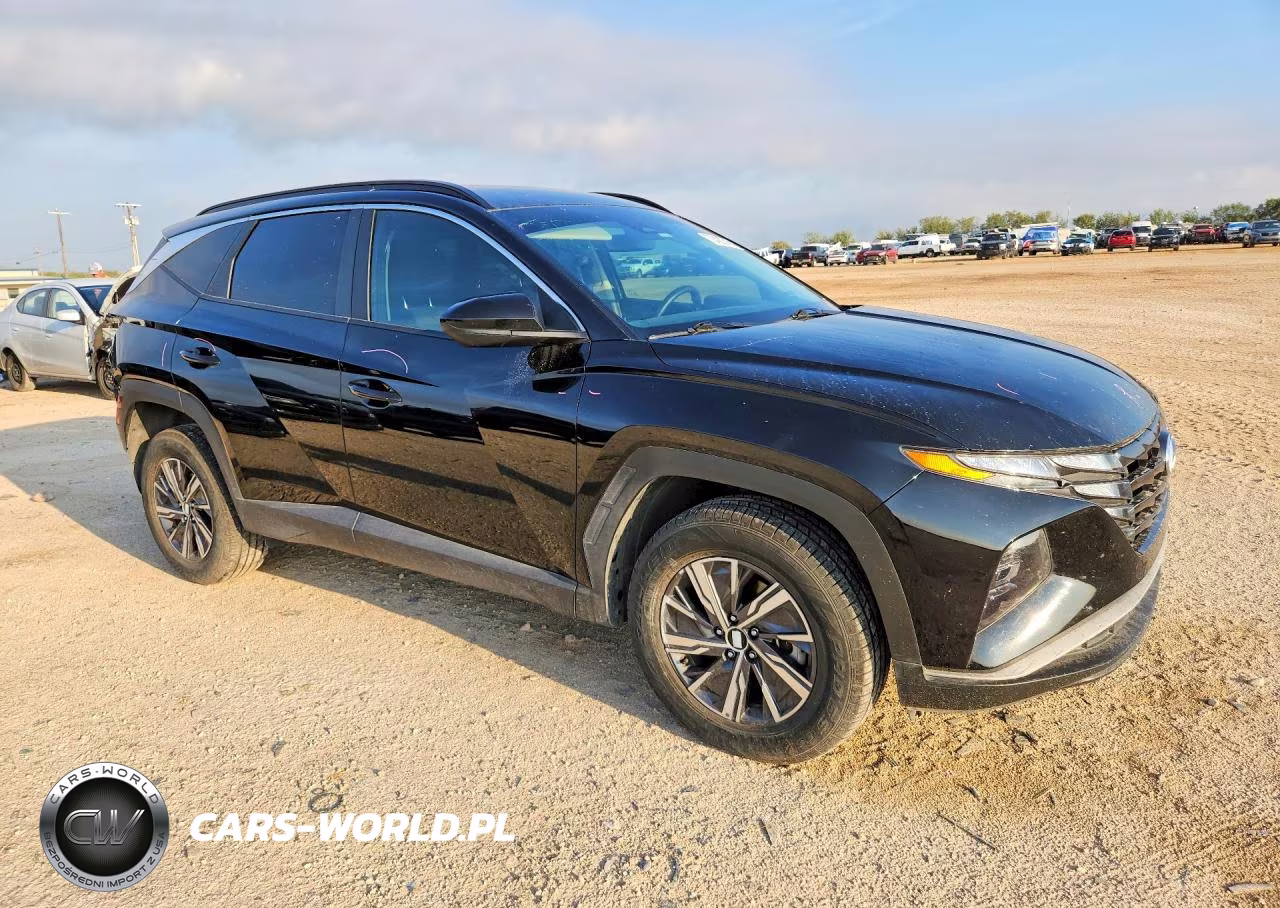 2024 Hyundai Tucson Blue VIN:KM8JBCD13RU195550 - 4