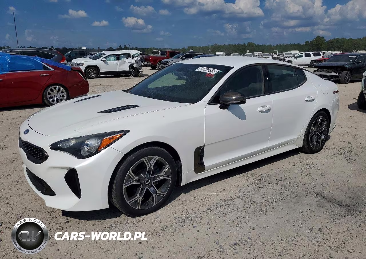 2020 Kia Stinger Gt-Line VIN:KNAE15LA4L6073679 - 1