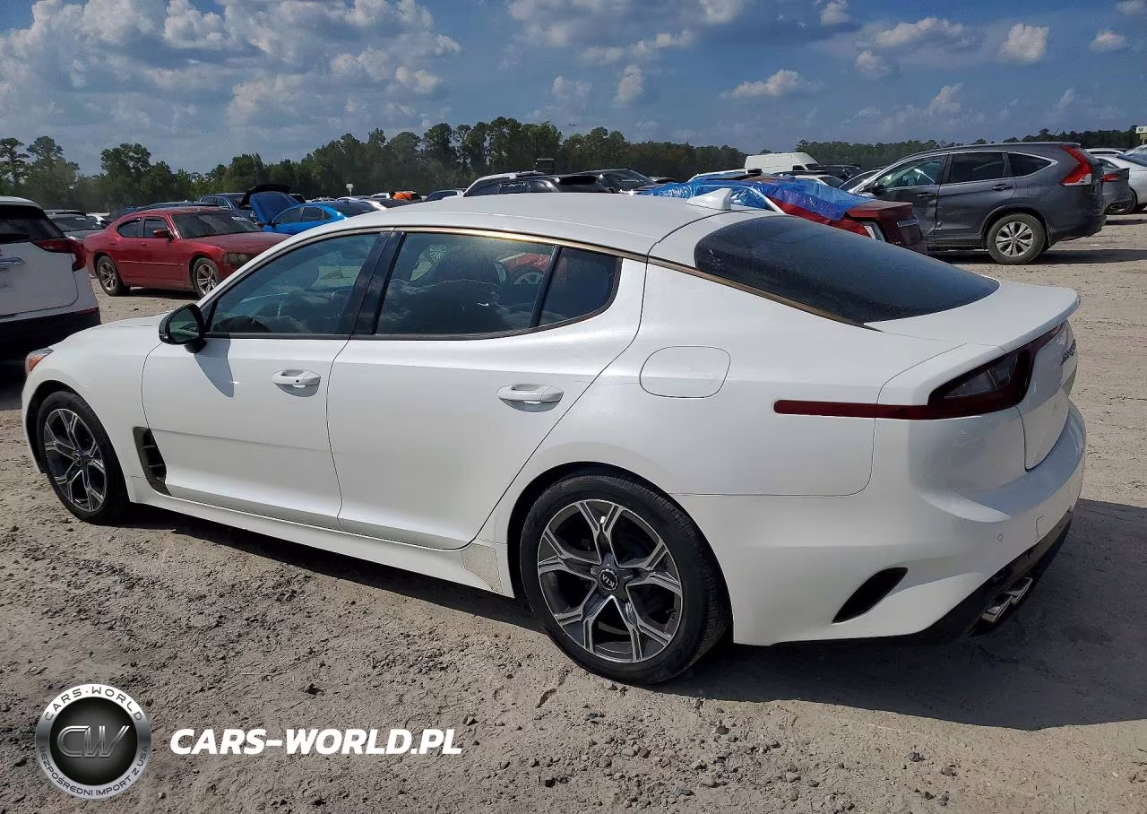 2020 Kia Stinger Gt-Line VIN:KNAE15LA4L6073679 - 2
