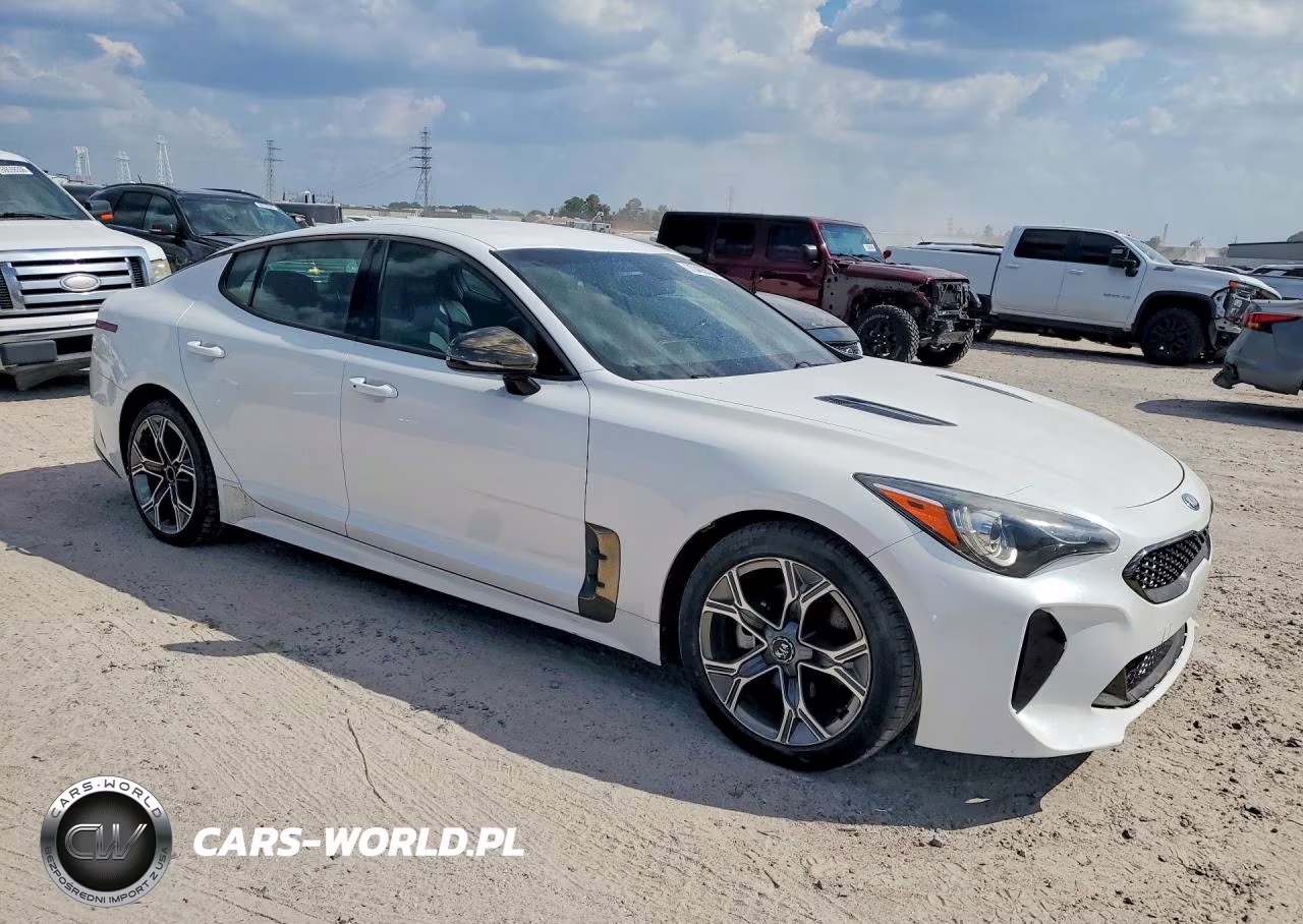 2020 Kia Stinger Gt-Line VIN:KNAE15LA4L6073679 - 4