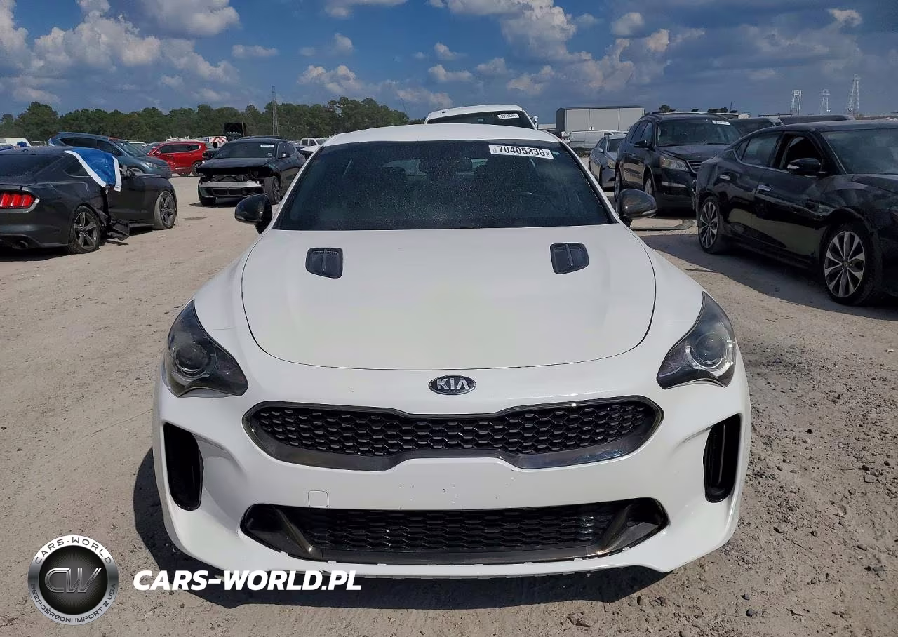2020 Kia Stinger Gt-Line VIN:KNAE15LA4L6073679 - 5