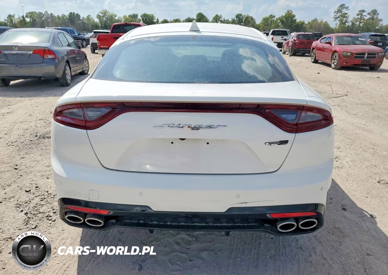 2020 Kia Stinger Gt-Line VIN:KNAE15LA4L6073679 - 6