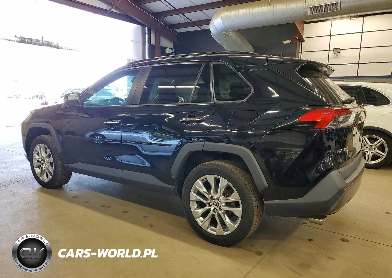 2019 Toyota Rav4 Limited VIN:2T3N1RFV2KC026335 - 2