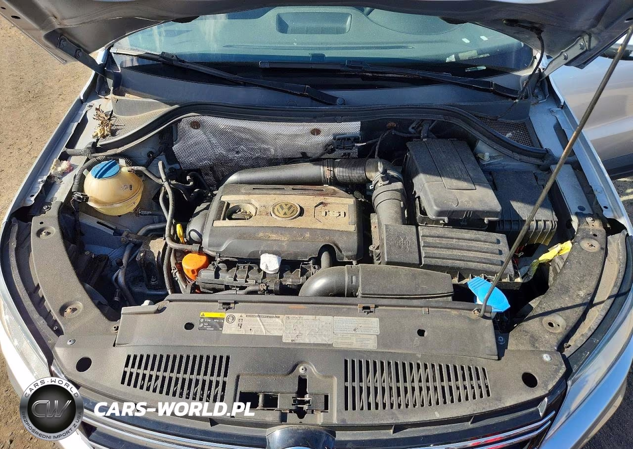 2015 Volkswagen Tiguan S VIN:WVGBV7AX0FW589745 - 12